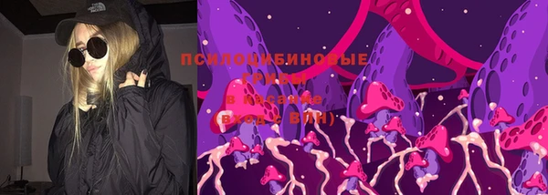 экстази Михайлов