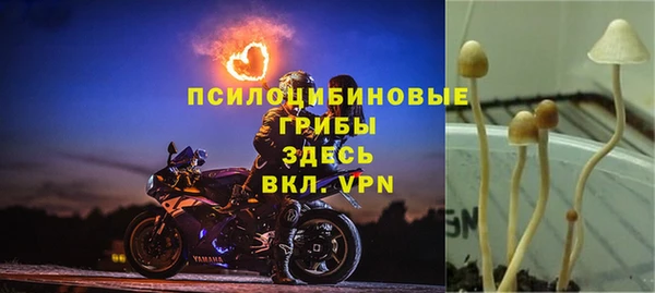 мдпв Наволоки