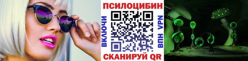 Псилоцибиновые грибы Psilocybine cubensis  Котельниково 